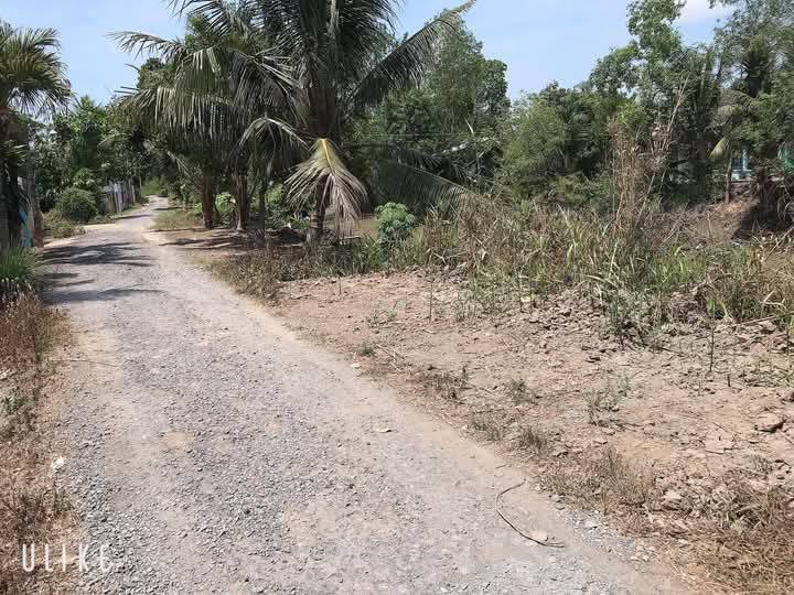 Đất đẹp tại Phường Tân Hạnh, Vĩnh Long 372m² giá chỉ 1.86 tỷ - Cơ hội đầu tư tuyệt vời!