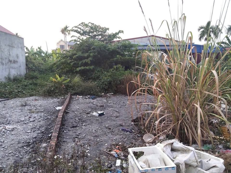 Đất nền Hoa Động Thủy Nguyên 69m² giá 1.5 tỷ - Vị trí trung tâm, cơ hội đầu tư hấp dẫn!