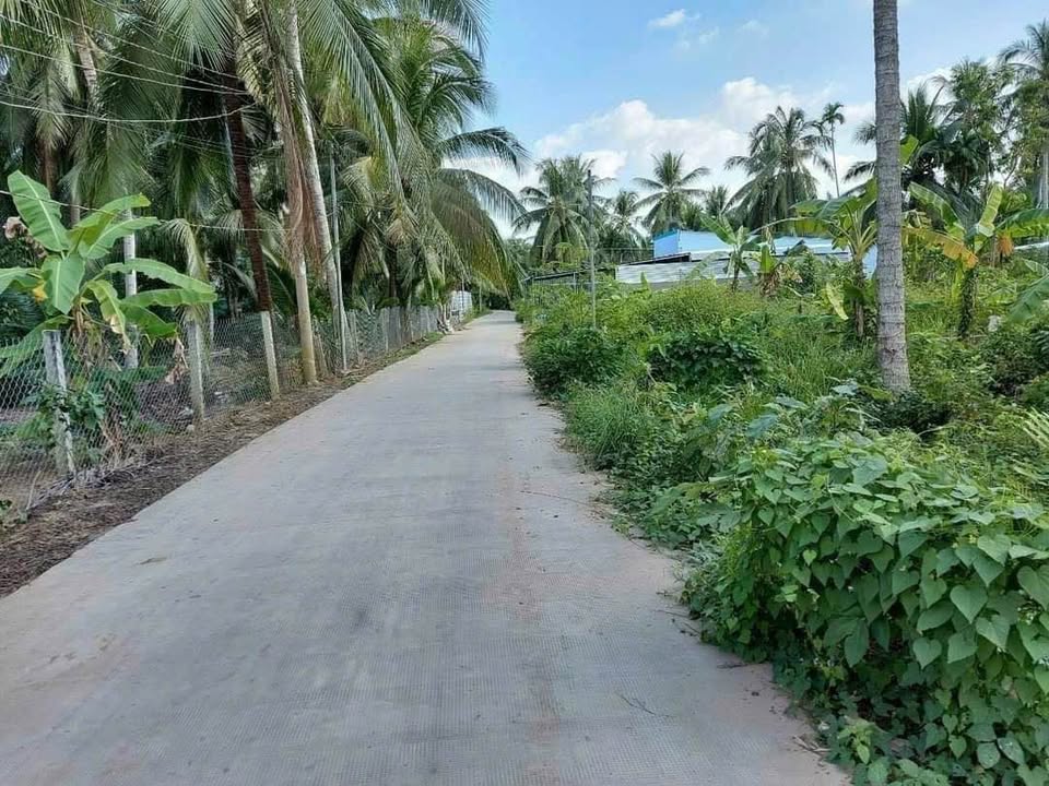 Đất nền liền kề 150m² tại Phú Nhuận, Bến Tre - Giá chỉ 525 triệu, thương lượng tốt!