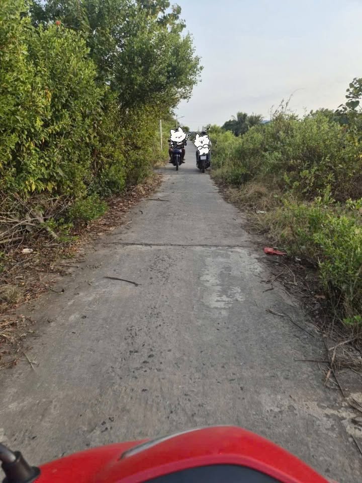 Đất nền 10.500m² Hiệp Thành Bạc Liêu giá 1.29 tỷ - Gần chùa Xiêm Cáng!