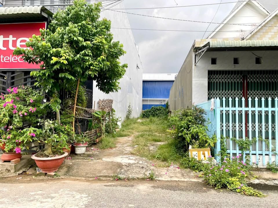 Đất nền Lê Hoàn, Bình Khánh, 110m² giá 2 tỷ - Cơ hội đầu tư lý tưởng!