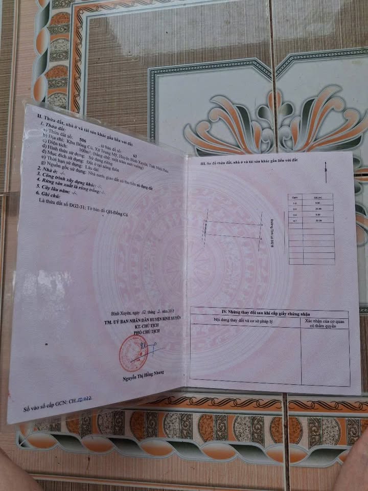 Đất nền 100m² tại Trung Mỹ, Bình Xuyên giá chỉ 3 tỷ - Kinh doanh thuận lợi!