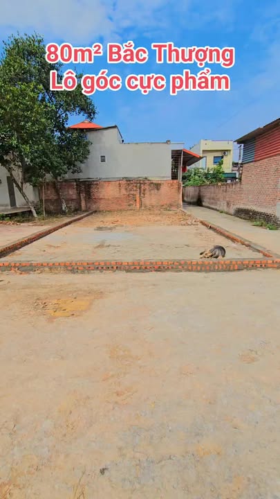 Đất thổ cư 80m² tại Bắc Thượng, Quang Tiến, Sóc Sơn chỉ 300 triệu - Lô góc 2 mặt tiền đẹp!