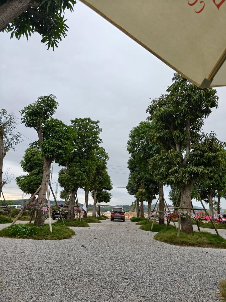 Đất nền Danko Tuyên Quang 108m² giá 4 tỷ - Đầu tư sinh lời ngay!