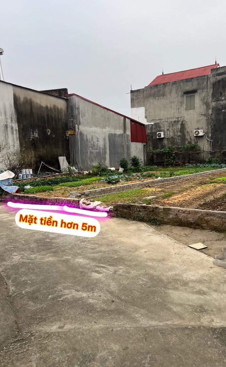 Đất nền thổ cư 123m² tại Đức Giang, Bắc Giang giá 1 tỷ - Mặt tiền rộng, ô tô vào tận đất!