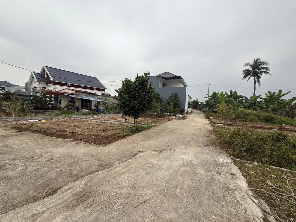 Đất nền Đặng Cương An Dương 55m² giá 1 tỷ - Đầu tư sinh lời ngay!