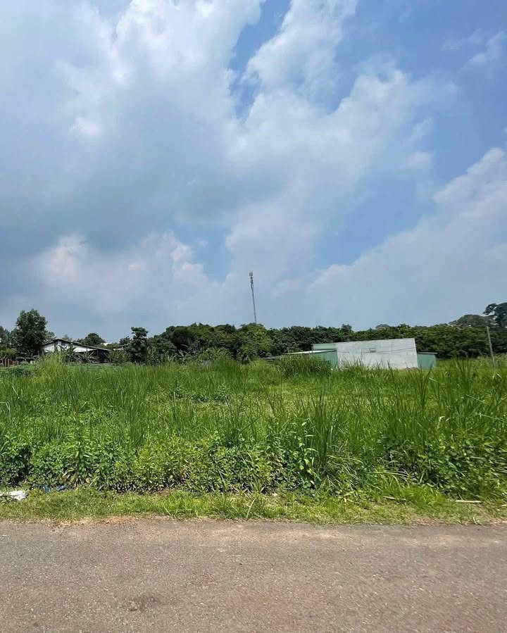 Đất nền 1271m² mặt tiền Tây Hoà 04, xã Hưng Thịnh - Sổ đỏ chính chủ giá chỉ 3 tỷ!