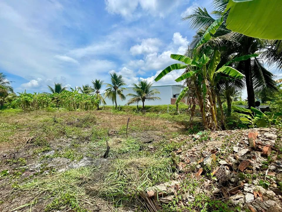 Đất mặt tiền nhựa huyện 90C – 1.208,5m² giá 5,3 tỷ - Cơ hội đầu tư hấp dẫn!