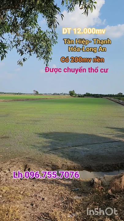 Đất nông nghiệp 12.000m² tại xã Tân Hiệp, Thạnh Hóa, Long An - Giá chỉ 1.625 tỷ!