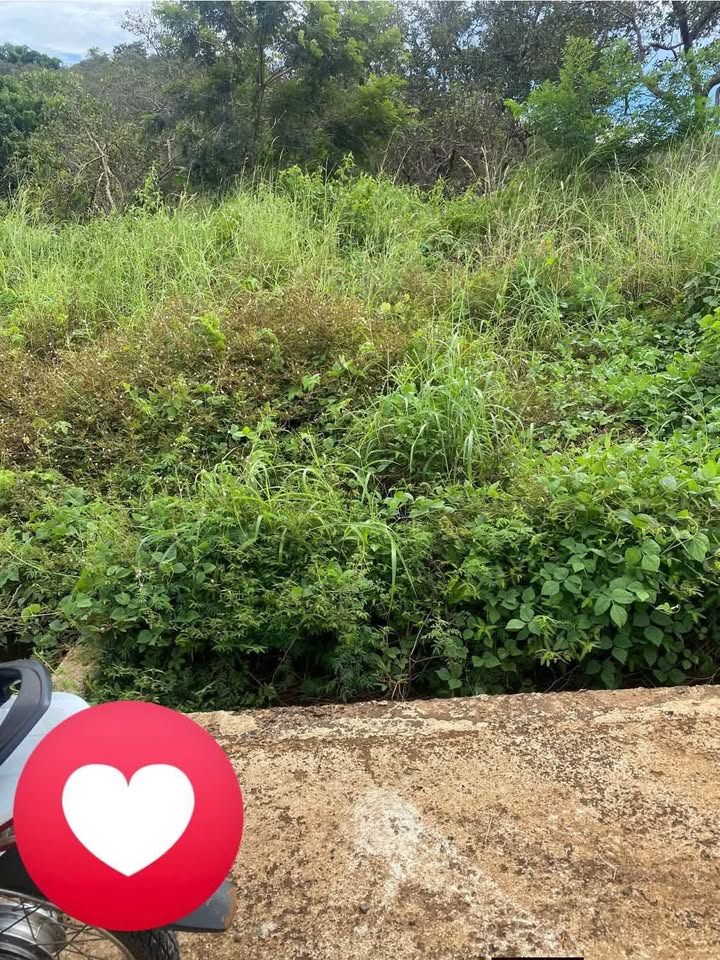 Đất nền Đắk Ngo 750m² giá 11.55 tỷ - Sổ đỏ chính chủ, vị trí đắc địa!