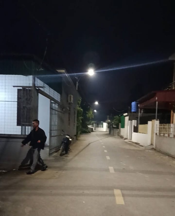 Đất nền Tự Cường, Tiên Lãng 100m² giá 1 tỷ - Mặt đường trục thông thuận tiện kinh doanh!