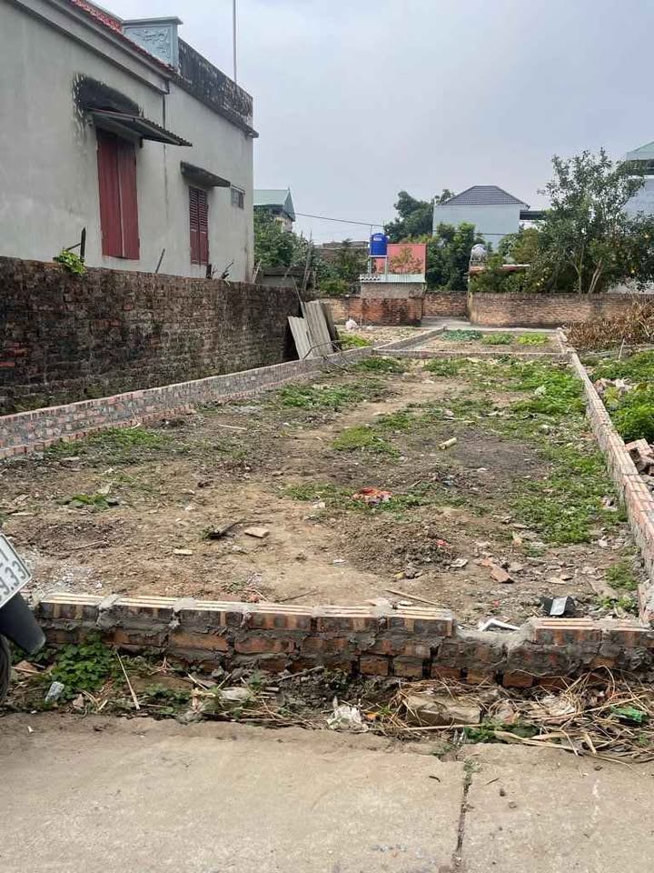 Đất nền Nguyễn Cư Đạo, Thuận Thành 50m² giá 1,x tỷ - Cơ hội đầu tư sinh lời!