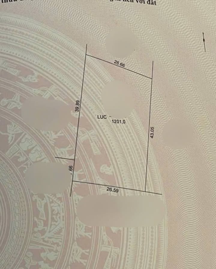 Đất lúa 1200m² tại Mỹ Phước, Long Xuyên - Giá chỉ 3 tỷ, cơ hội đầu tư tuyệt vời!