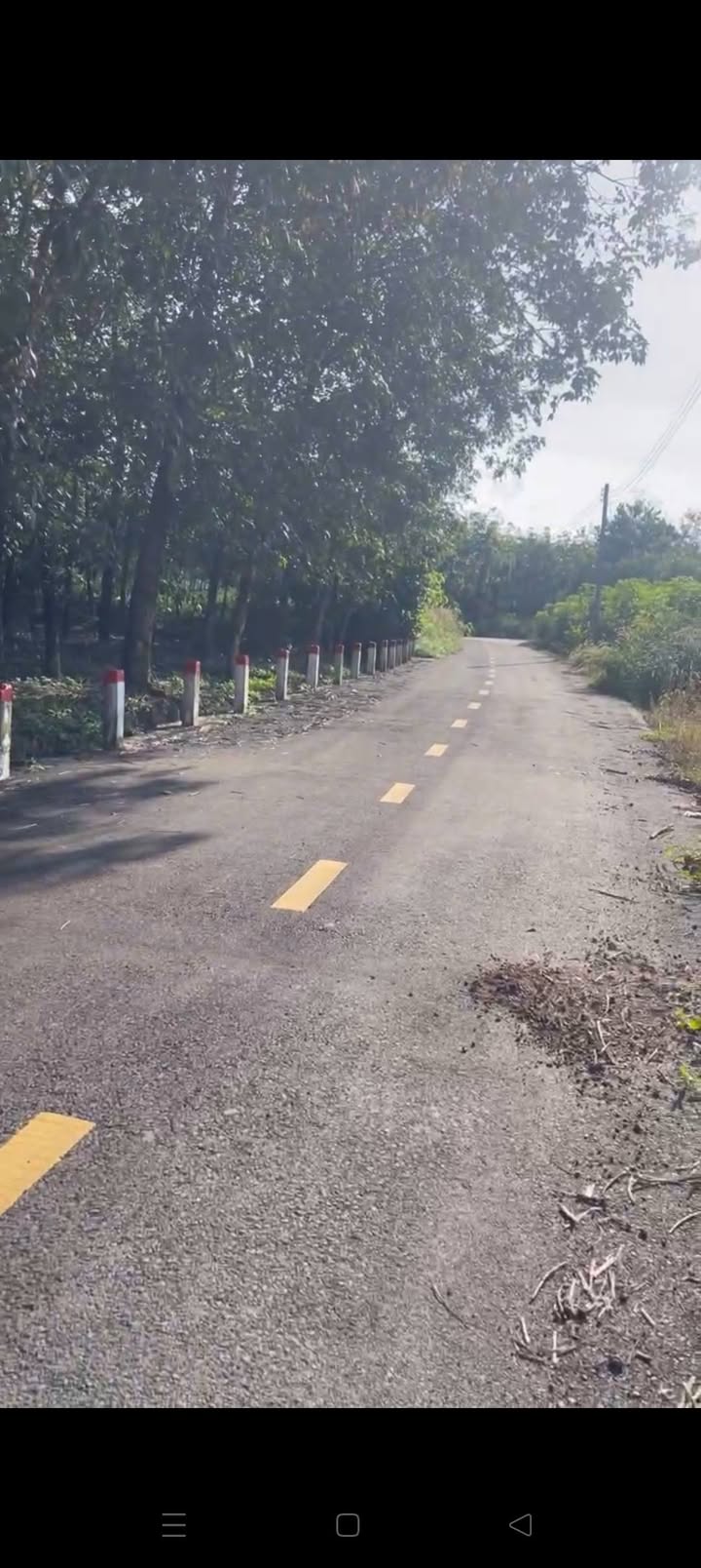 Đất thổ cư An Linh, Phú Giáo 345m² giá chỉ 5xx triệu - Cơ hội đầu tư tuyệt vời!