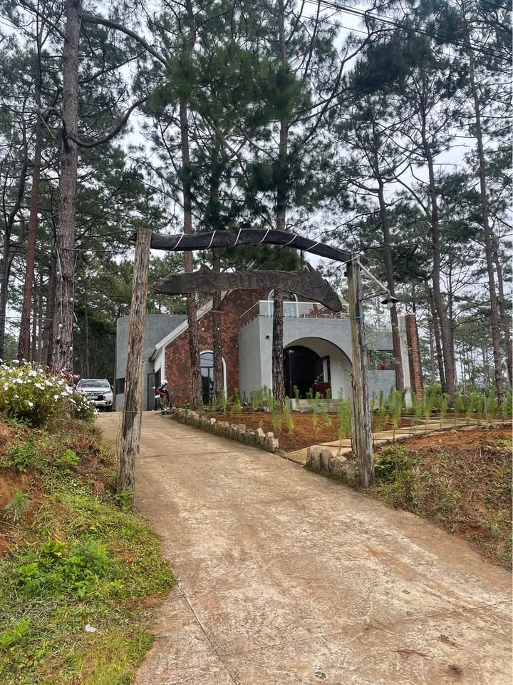 Homestay Ruby Măng Đen 1081m² giá 20 tỷ - Kinh doanh sinh lời ngay!