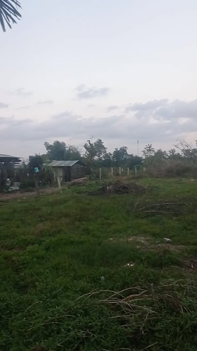 Đất nền Trường Xuân Tam Kỳ 525m² giá 1.09 tỷ - Đầu tư lý tưởng cho nhà vườn!