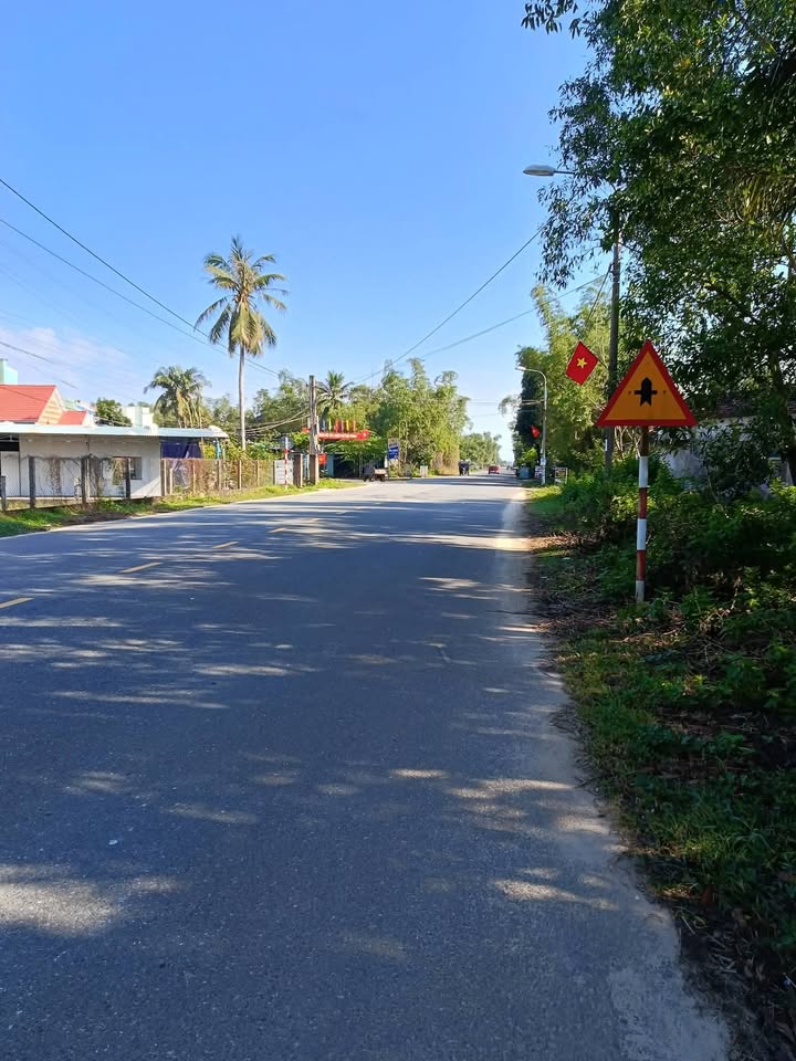 Đất trồng cây An Phú Tam Kỳ 300m² giá chỉ 250 triệu - Cơ hội đầu tư tuyệt vời!