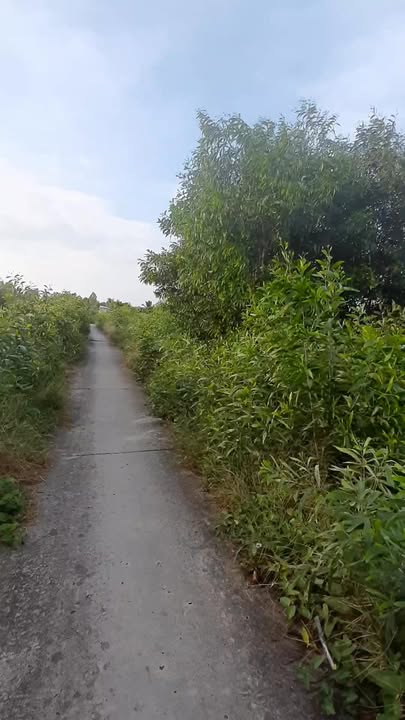 Đất Ruộng Mặt Tiền 200m² Tại Xã Đông Hưng - Giá Chỉ 3.312 Tỷ!