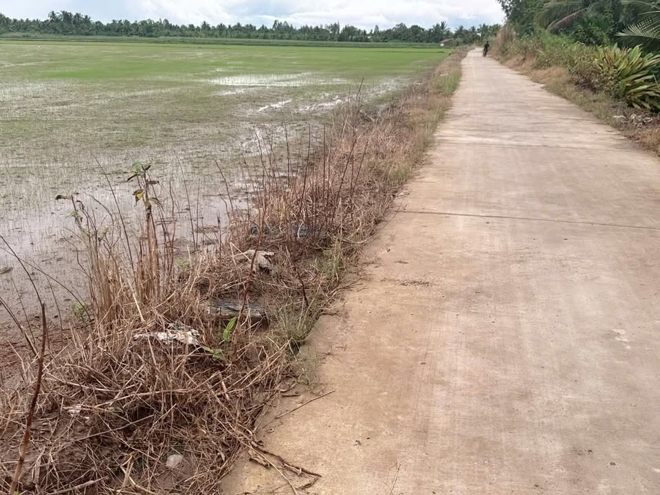 Đất mặt tiền Đường Dal, Tân Thạnh, Long Phú, 900m² - Giá chỉ 900 triệu, thương lượng!