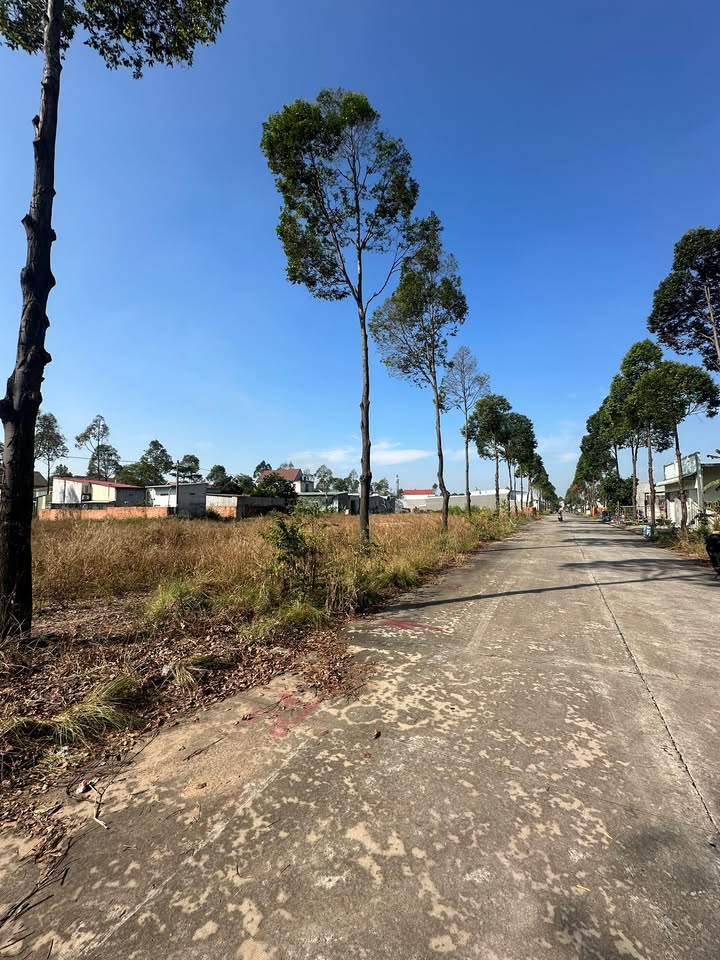 Đất nền liền kề G33, Chánh Phú Hòa 600m² giá 3.7 tỷ - Sổ hồng riêng, sang tên ngay!