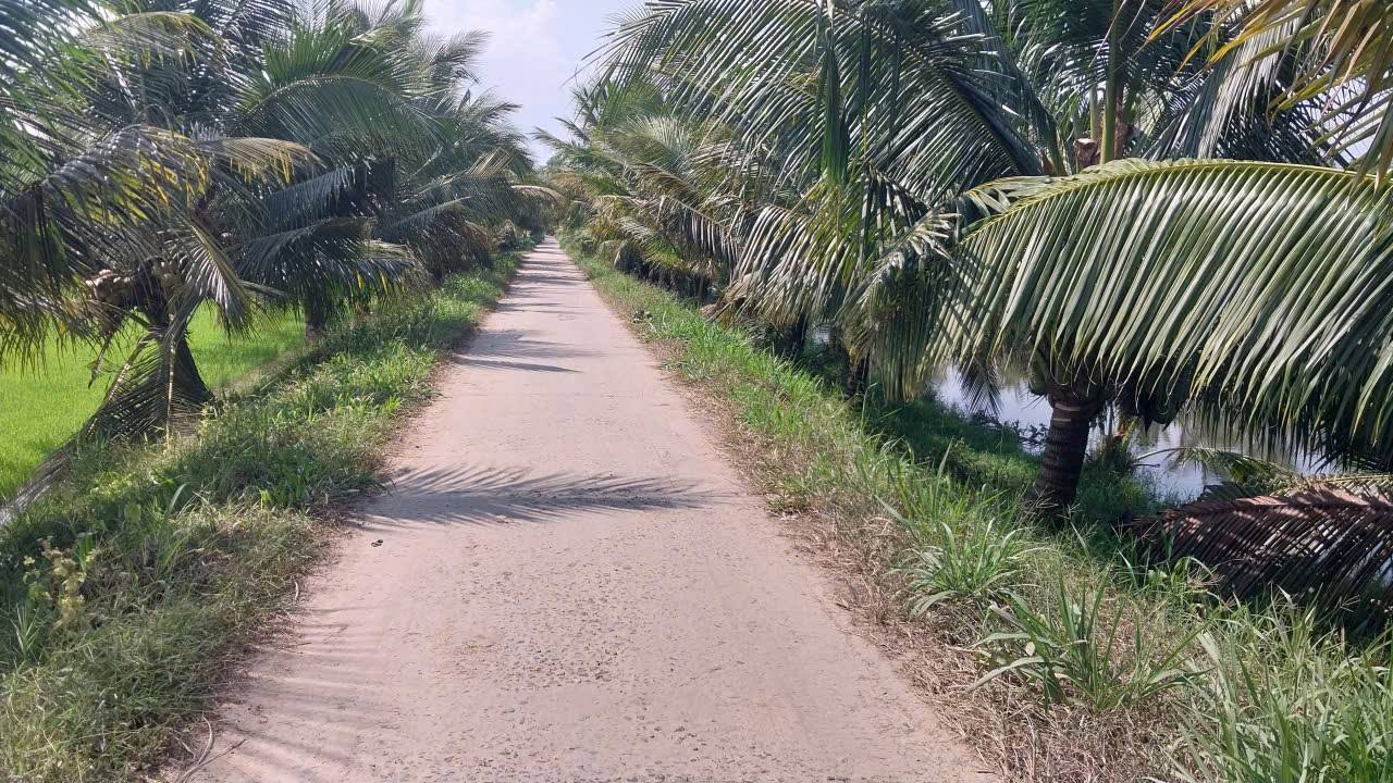 Đất nền 500m² tại ấp Trà Nóc, huyện Châu Thành chỉ 170 triệu - Cơ hội đầu tư tuyệt vời!