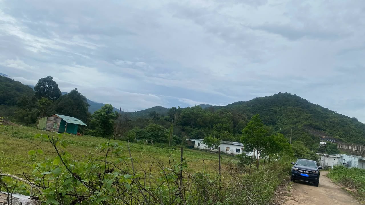 Đất nền Đạ Tông, Đam Rông 57m² giá 300 triệu - View suối tuyệt đẹp!