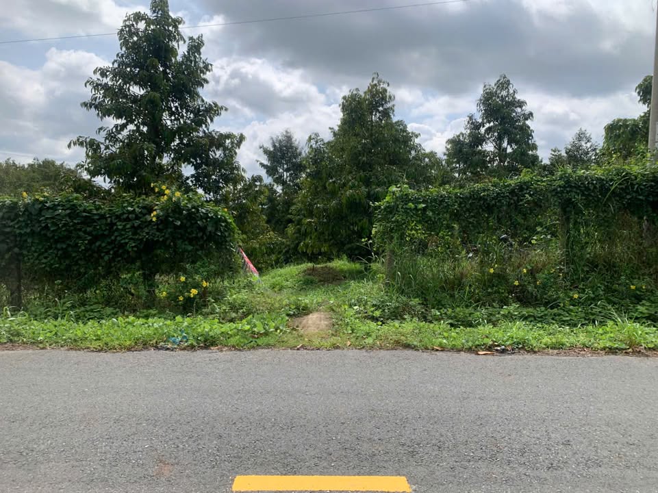 Đất nông nghiệp Đạ Kho 3000m² giá 2 tỷ - Đầu tư sinh lời bền vững!