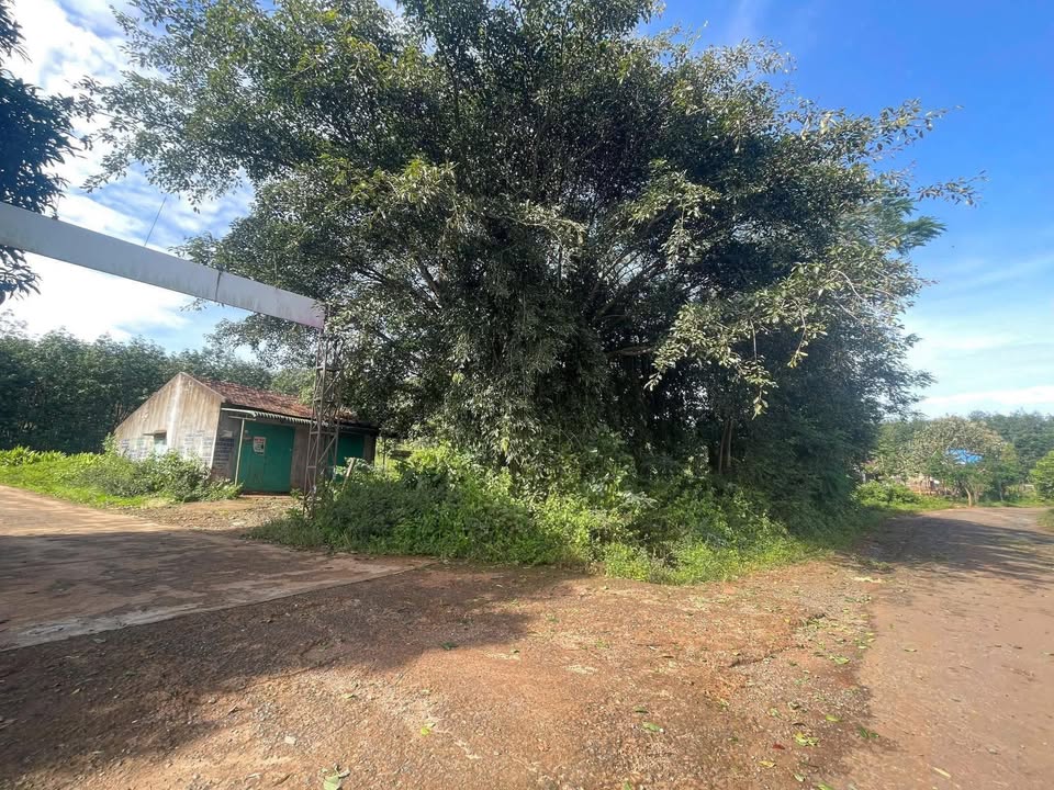 Đất thổ cư 150m² xã Ea Khal, Đắk Lắk giá 189 triệu - Cơ hội đầu tư tuyệt vời!