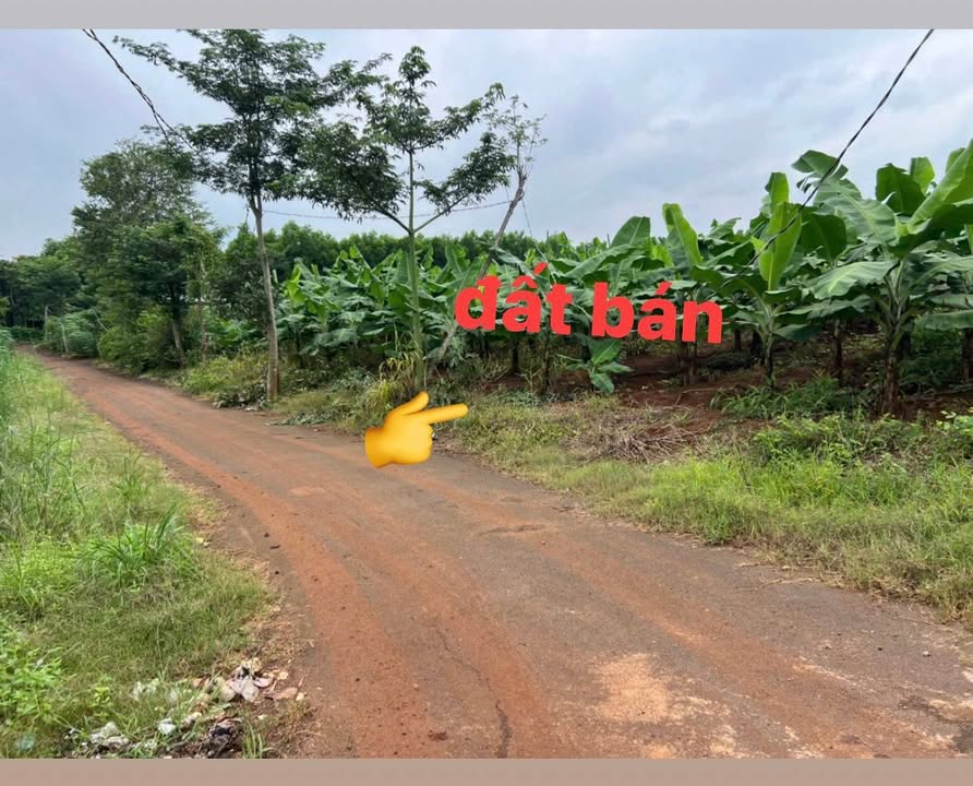 Đất nền Phước Thái Long Thành 1158m² giá 1.15 tỷ - Đầu tư sinh lời lý tưởng!