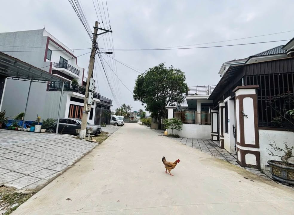 Đất nền Vinh 149,2m² giá 3.9 tỷ - Tiềm năng đầu tư cao!