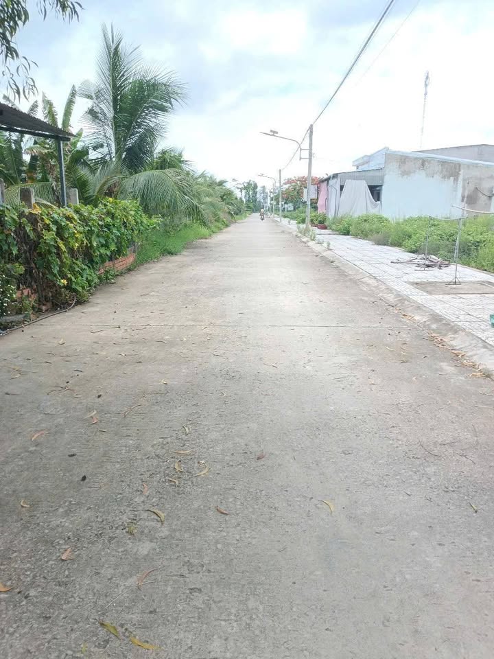 Đất nền Bình Thành, Đồng Tháp 100m² giá 300 triệu - Đầu tư sinh lời hấp dẫn!