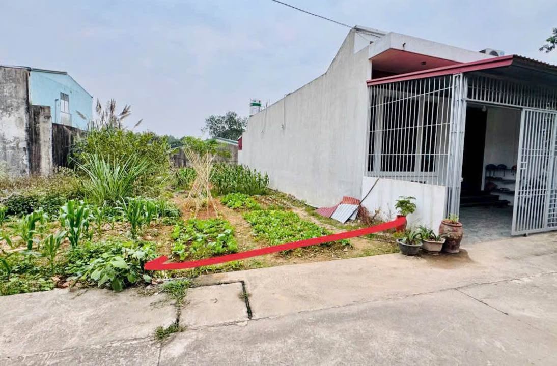 Đất thổ cư phường Quyết Thắng 118.5m² giá thỏa thuận - Mặt tiền rộng, ô tô vào tận nơi!