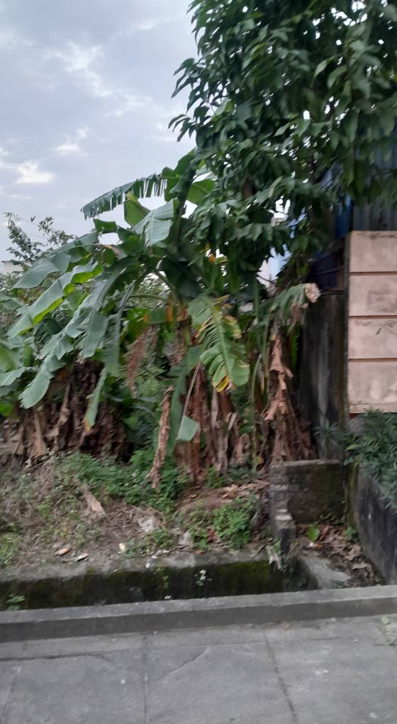 Đất nền Yên Lương Ý Yên 161m² giá 4 tỷ - Kinh doanh sầm uất, tiện ích đầy đủ!