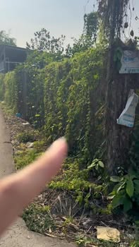 Đất nền Gò Công Đông 2616m² giá 3.1 tỷ - Đầu tư sinh lời tuyệt vời!