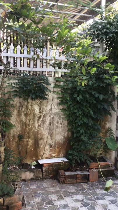 Nhà nguyên căn đường Lê Văn Phẩm, Mỹ Tho 100m² giá 3.5 triệu - Khu yên tĩnh, an ninh!