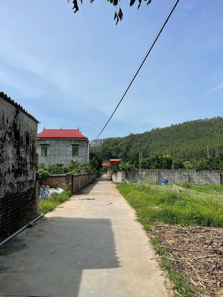 Đất thổ cư Phượng Sơn Bắc Ninh 300m² giá chỉ vài trăm triệu - Đầu tư sinh lời ngay!