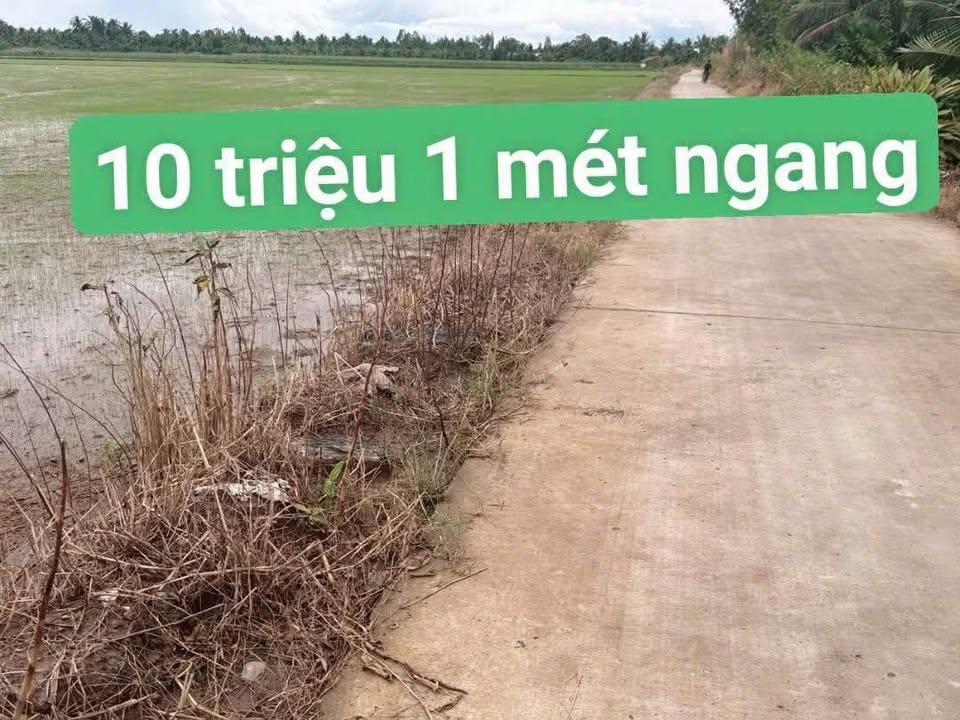 Đất mặt tiền đường Đal ô tô Tân Thạnh, Long Phú 1495m² giá 450 triệu - Đầu tư sinh lời ngay!