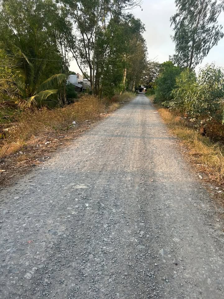 Đất nền Phú Thọ, Tam Nông 20.000m² - Giá thỏa thuận, đầu tư sinh lời!