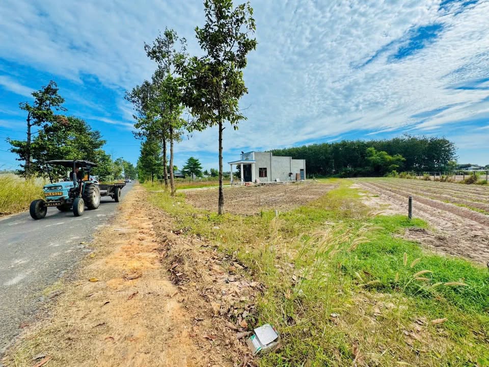 Đất thổ cư 260m² mặt tiền đường D14, Tầm Long, Châu Thành - Giá 390 triệu có thương lượng!