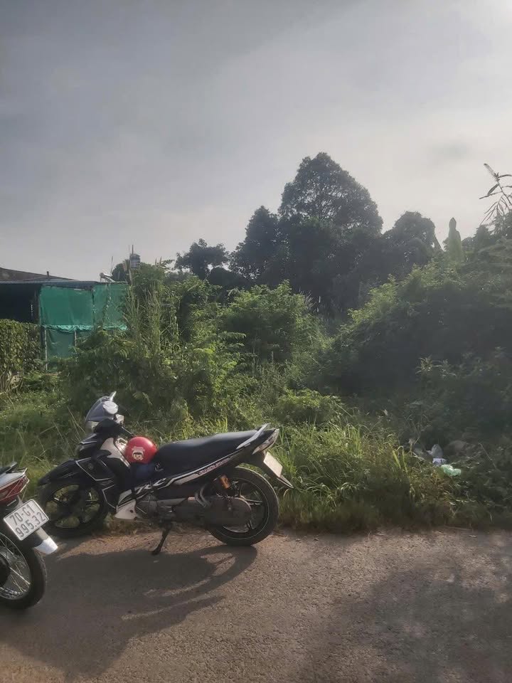 Đất thổ cư hẻm 86 Trần Phú, Tây Ninh 500m² - Giá chỉ 2,3 tỷ!