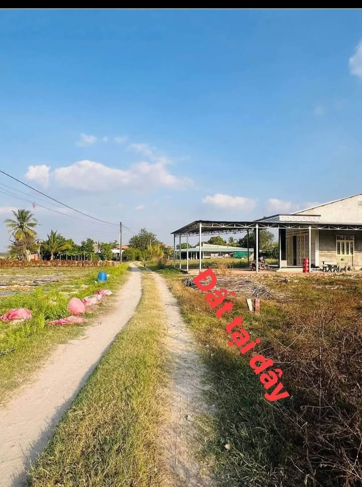 Đất thổ cư Châu Thành, Tây Ninh 180m² giá 1.65 tỷ - Cơ hội đầu tư tuyệt vời!