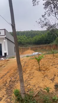 Đất nền Phú Thọ 332m² giá thỏa thuận - Đầu tư sinh lời ngay gần cổng Phụ Phú Hà!