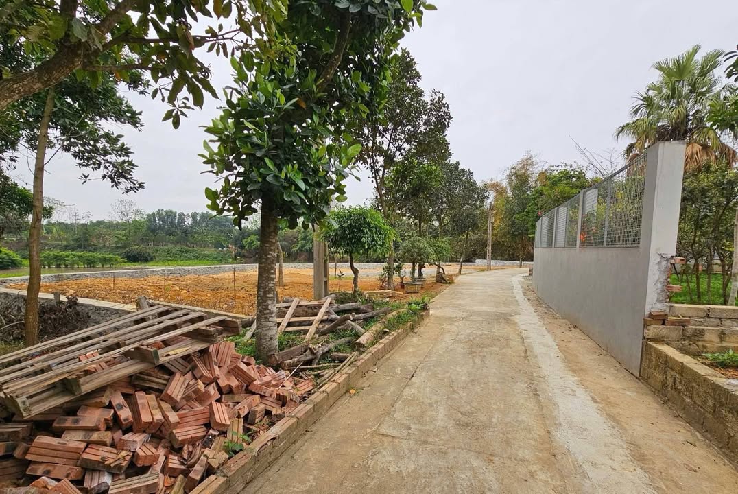 Đất thổ cư Tân Xã Thạch Thất 100m² giá 3.2 tỷ - Cơ hội đầu tư tuyệt vời!