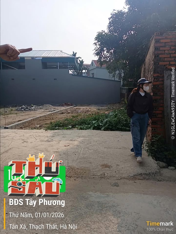 Đất 137m² tại Tân Xã - Giá chỉ 5 tỷ, cơ hội đầu tư không nên bỏ lỡ!