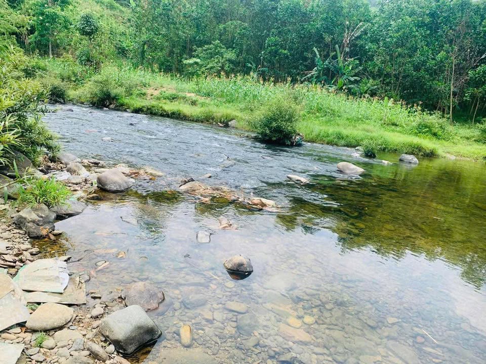 Lô đất vườn Hòa Phú, Hòa Vang 6000m² giá 7 tỷ - Đầu tư lý tưởng!