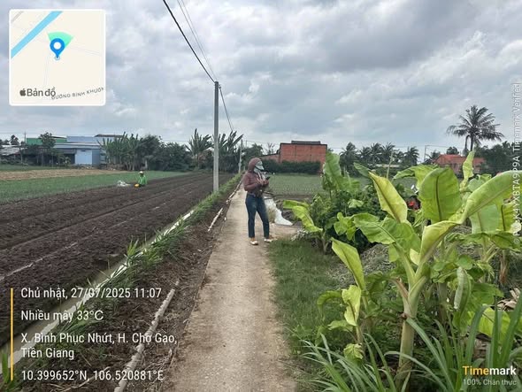 Đất thổ cư 282m² tại Bình Phục Nhứt - Chợ Gạo chỉ 320 triệu - Gần chùa Mẹ Mẫu!