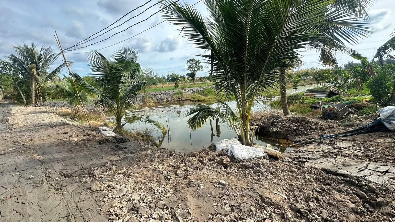 Đất vườn Hòa Thành 2500m² giá 1.5 tỷ - Tiềm năng sinh lời cao!