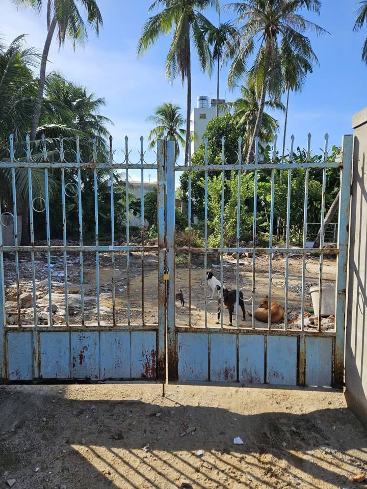 Đất nền Ngọc Hiệp Nha Trang 1408m² giá chỉ 8.5 tỷ - Cơ hội đầu tư vàng!