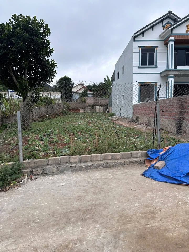 Đất nền đẹp tại Bản Búa, Đông Sang, Mộc Châu 185m² - View suối thơ mộng!