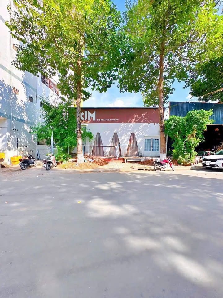 Đất nền mặt tiền đường Trần Quang Khải, Cần Thơ 230.8m² - Đầu tư sinh lời, thuận lợi xây khách sạn!